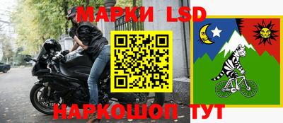 твердый Камышлов
