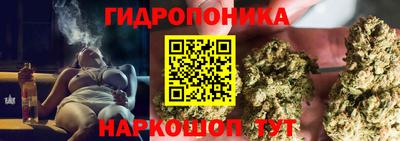 таблы Кингисепп