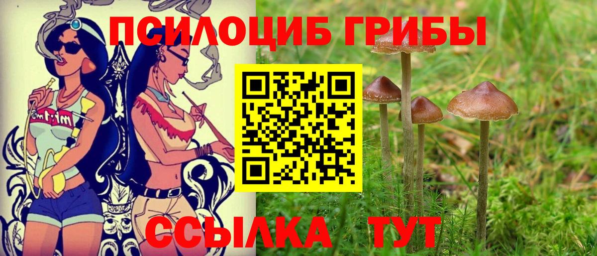 Псилоцибиновые грибы Cubensis Лесозаводск