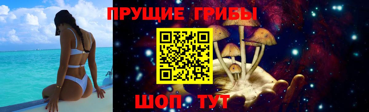 Лесозаводск  сколько стоит  Вход с VPN  Псилоцибиновые грибы Psilocybine cubensis 